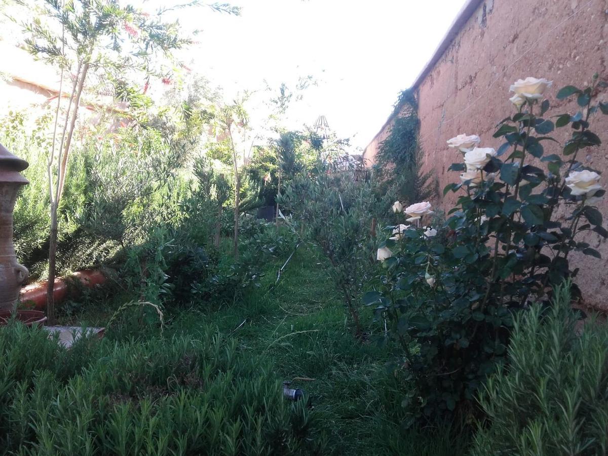 Auberge Toda Aït Igad Extérieur photo